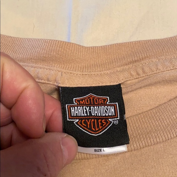 Harley - Picture 3 of 5